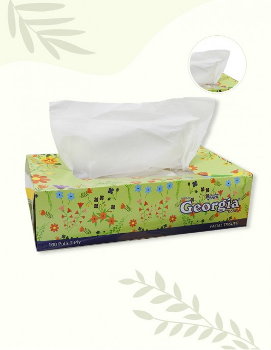 Face Tissue (2 PLY)