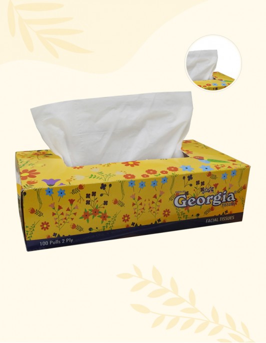 Face Tissue (2 PLY)